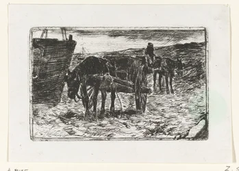 Wagens op het strand