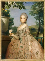 Marie-Louise de Parme, vrouw van haar neef ...