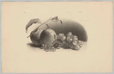 Appels, bessen, braam en druiven
