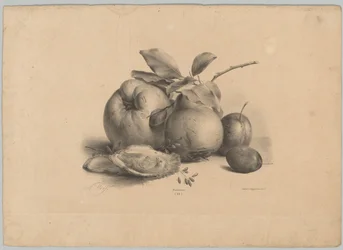 Fruit, pruimen en oesters