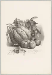Pompoen, tomaten en kersen