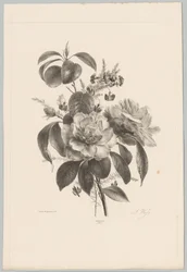 Rozen en andere bloemen