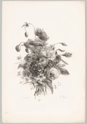 Rozen en andere bloemen