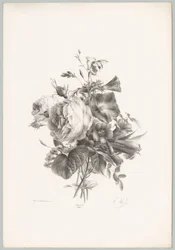 Rozen en kelkvormige bloemen