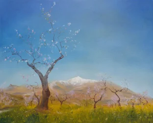 Amandelbloesem met besneeuwde Sierra Nevada-berg, 2016