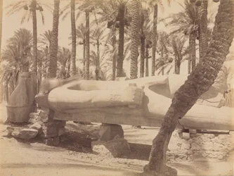 Standbeeld van Ramses in Saqqara