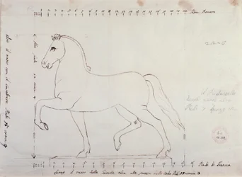Studie voor een paard voor een ruitermonument (tekening)