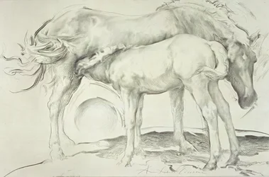 Paarden bij Coolmore, 1990