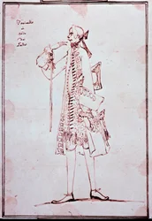 Portret van Carlo Broschi, genaamd Farinelli (1705-1782) Italiaanse castraat