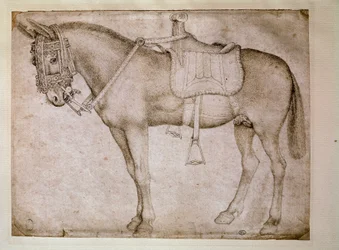 Muilezel tuig. Tekening door Antonio Pisano, genaamd il Pisanello