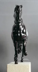 Een Stappend Paard