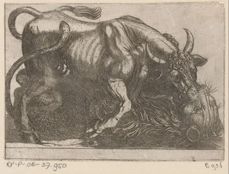 Een stier vechtend met een leeuw