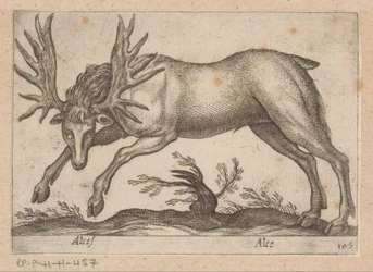 Eland