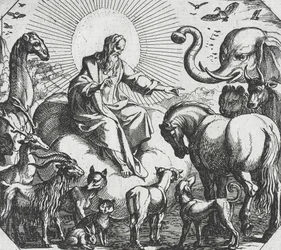 God schept de landdieren