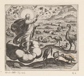 God schept de vogels en de vissen