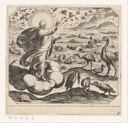 God schept de vogels en de vissen