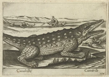 Krokodil
