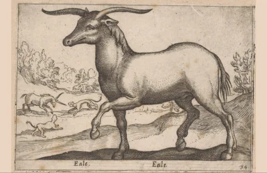 Paard met hoorns (Dieren en fabelwezens)