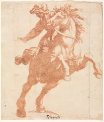 Steigerend paard en ruiter