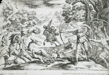 Jacht op herten