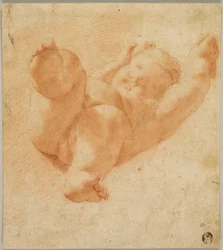 Verkort Putto