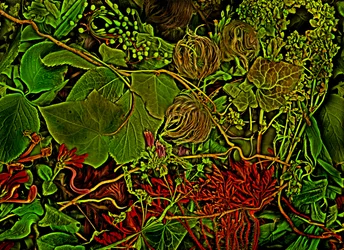 Anderswelt - het veld, 2025 (foto)