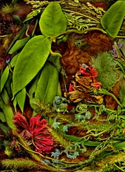 Andere werelden nr. 113