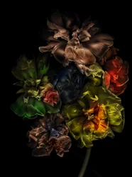 Bloemen 13-1, 2025 (foto)