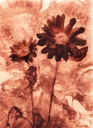 monobloem
