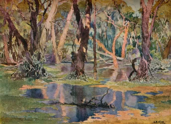 Quindanning Pool, c1927