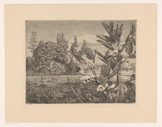 Landschap met bloemen