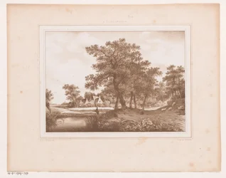 Gezicht op een landweg en een sloot