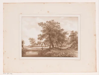 Gezicht op een landweg en een sloot