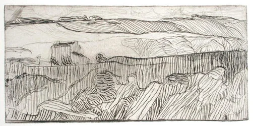Gestreept landschap