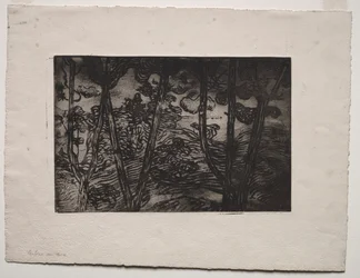 Bomen 