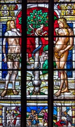 Kathedraal Sainte-Marie, Auch, Gers, 2018 (glas-in-loodraam)