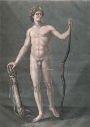 Apollo, de ideale anatomie