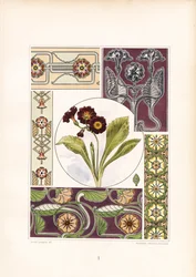 Primrose motieven en florale ornament variaties (litho)