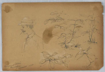 Voorgrondstudies, Ramapo