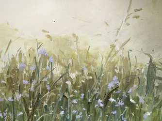 Blauwe bloemen in de weide
