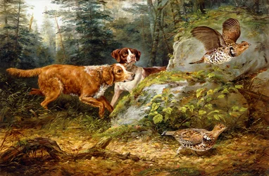 Opgeschrikt: Ruffed Grouse Jacht, 1857