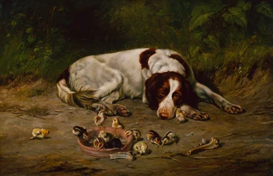 Brave hond