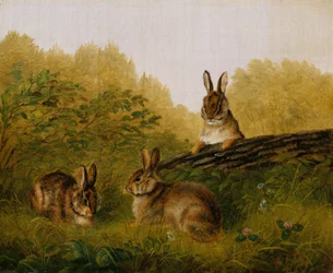 Konijnen op een stam, 1897