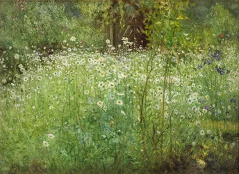 Oxeeye Madeliefjes en Irissen, 1920