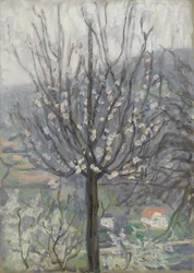 Bloesem, vroege ochtend