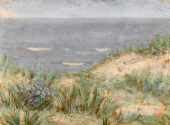 Zeezicht met duinen, bloeiende zeekraal
