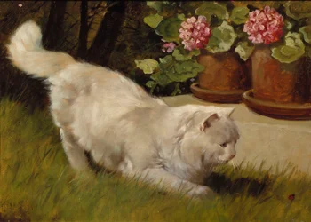 Een Witte Perzische Kat met een Lieveheersbeestje