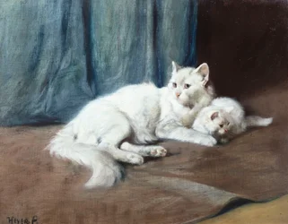 Een witte Perzische kat met haar kittens