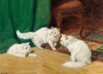 Gesprek onder katten,