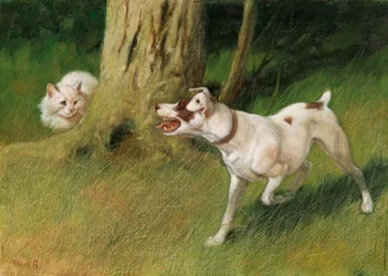 Hond en Kat
